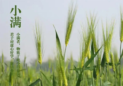 “花看半開(kāi)，酒飲微醺”，人生最好是小滿