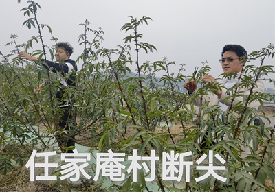 春意萌動，基地無閑時